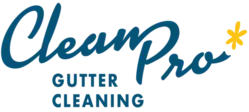 Clean Pro Wordmark